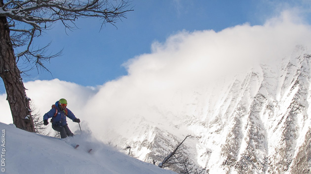 Blanc de la poudreuse, bleu du ciel, descente de fou en ski freeride dans les Alpes italiennes